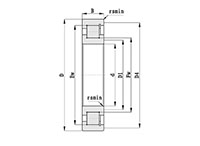 Sl1822 Single Row Full Complement Cylindrical Roller Bearings Diagram