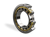 NJ Single Row Cylindrical Roller Bearings 3D