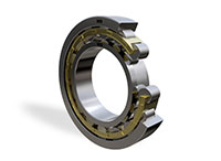 NU Single Row Cylindrical Roller Bearings 3D