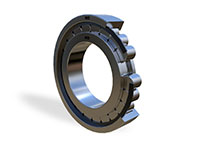 Sl1822 Single Row Full Complement Cylindrical Roller Bearings