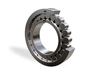 Sl1923 Single Row Full Complement Cylindrical Roller Bearings