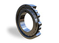 Cylindrical Roller Bearings