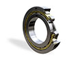 NUP Single Row Cylindrical Roller Bearing 3D
