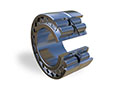 Sl0248 Double Row Full Complement Cylindrical Roller Bearings